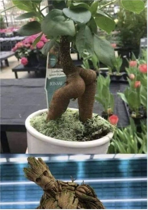 groot i am majorgeeks.jpg